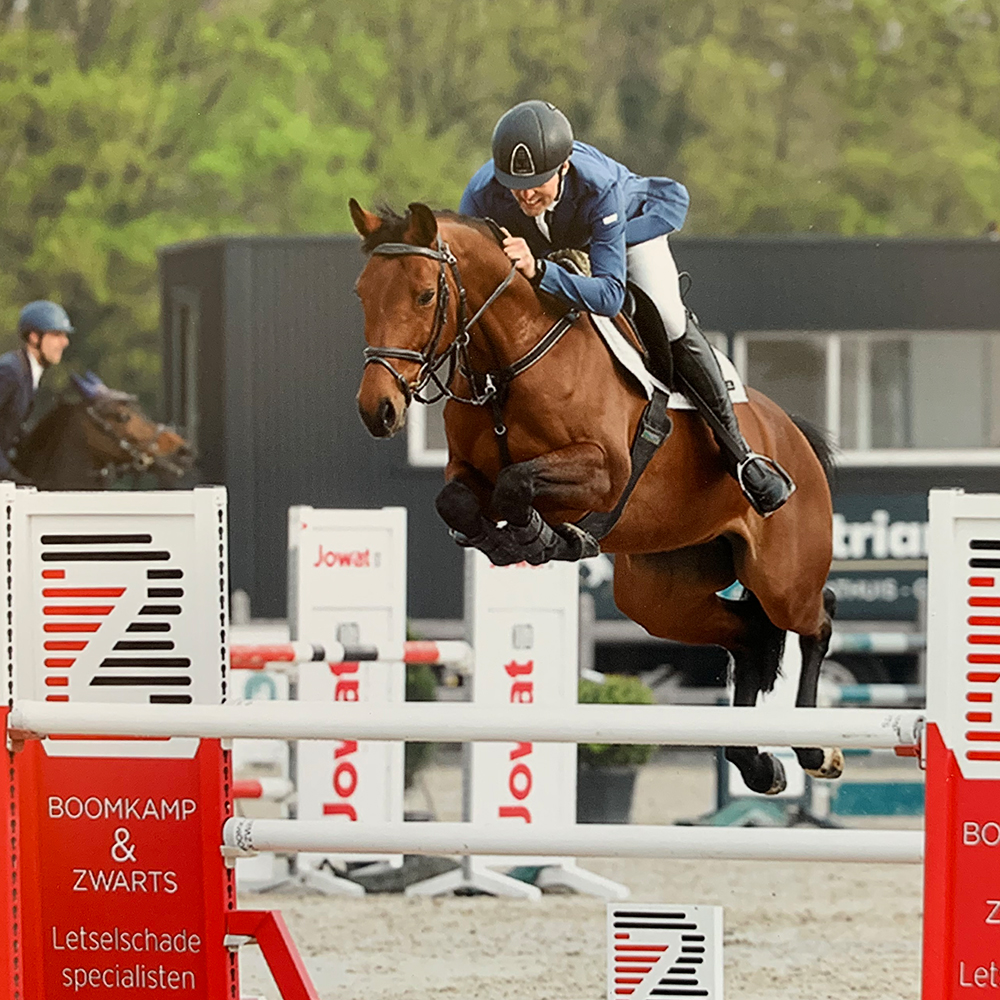 Lovely springt een hindernis