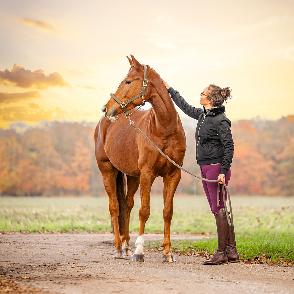 Olympia tijdens zonsondergang